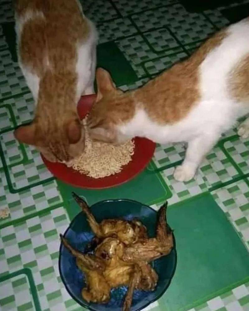 Instagram.com/humorsantuy