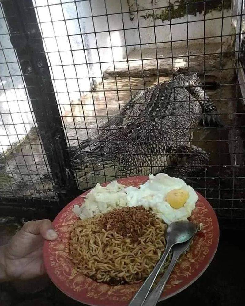 Instagram.com/wkwkland_real