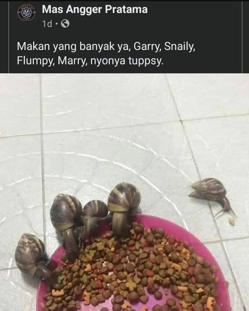 Instagram.com/asupanmemekocak