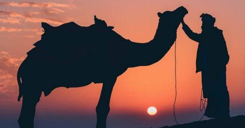 Pexels/Husain Chauhan