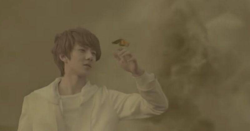 Twitter.com/cherish_sehun94