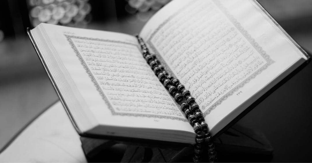 Pexels/Abdulmeilk Aldawsari