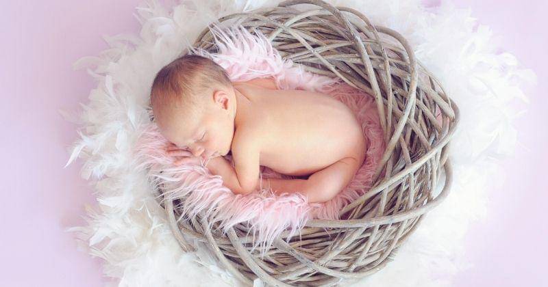 Pixabay/Tawny Nina Botha