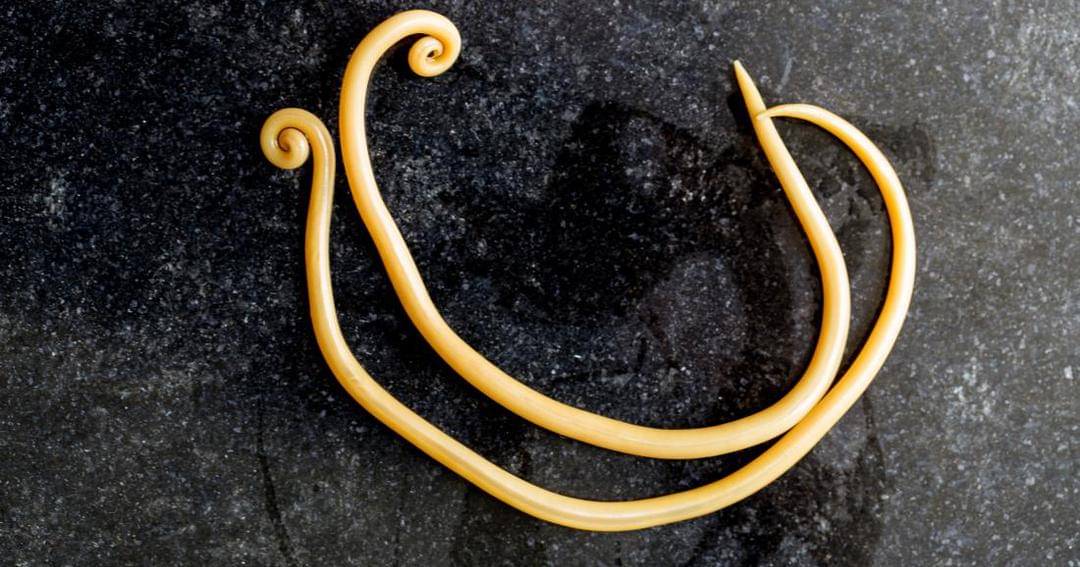 medicalnewstoday.com