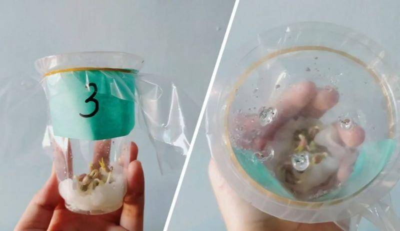 YouTube.com/ Nahdya Widyastuti