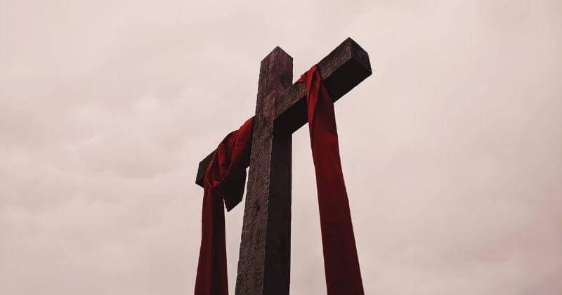 Unsplash/Alicia Quan