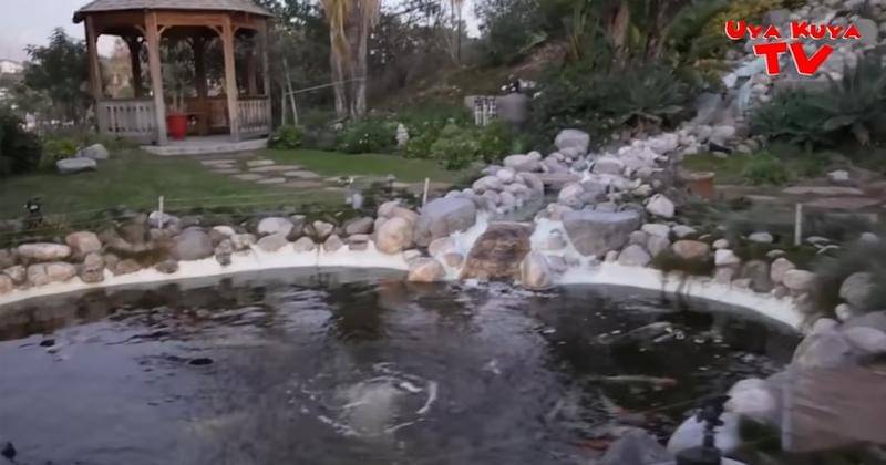 Youtube.com/Uya Kuya TV