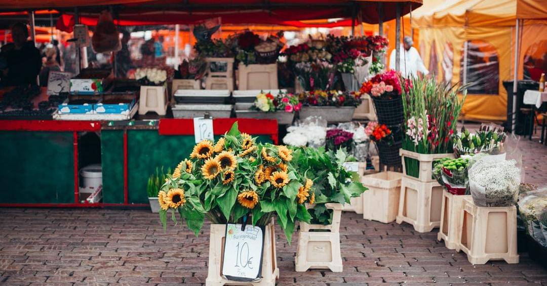 Pexels/Daria Shevtsova