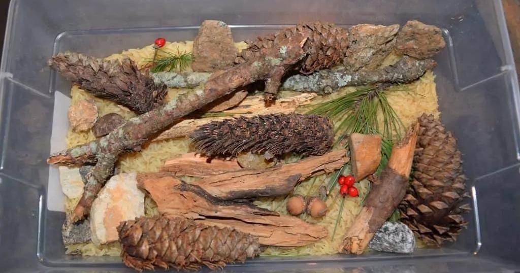 twopineadventure.com