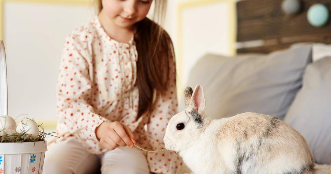 Freepik/Gpointstudio