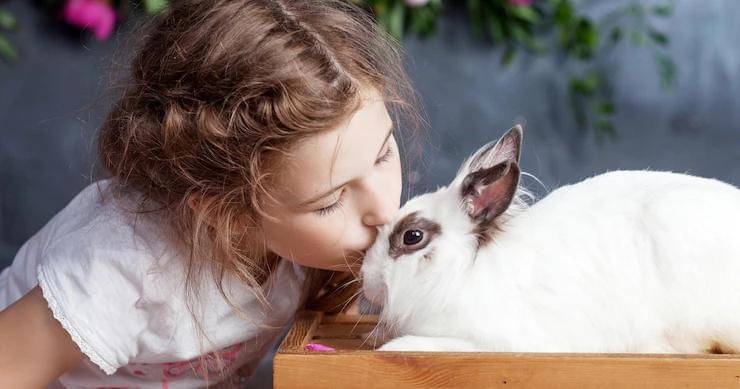 Freepik/liudmila.fadzeyeva