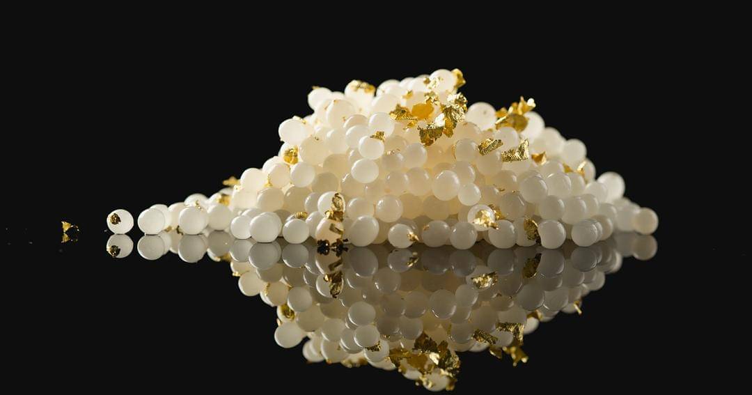 mediterraneanescargots.com