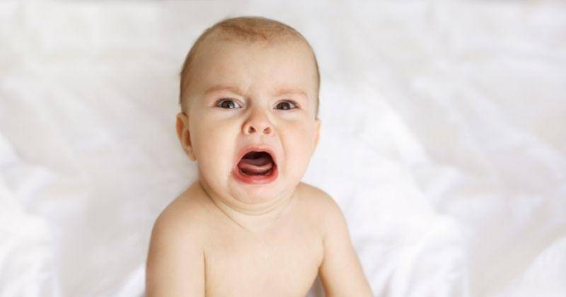 Freepik.com/cookie_studio