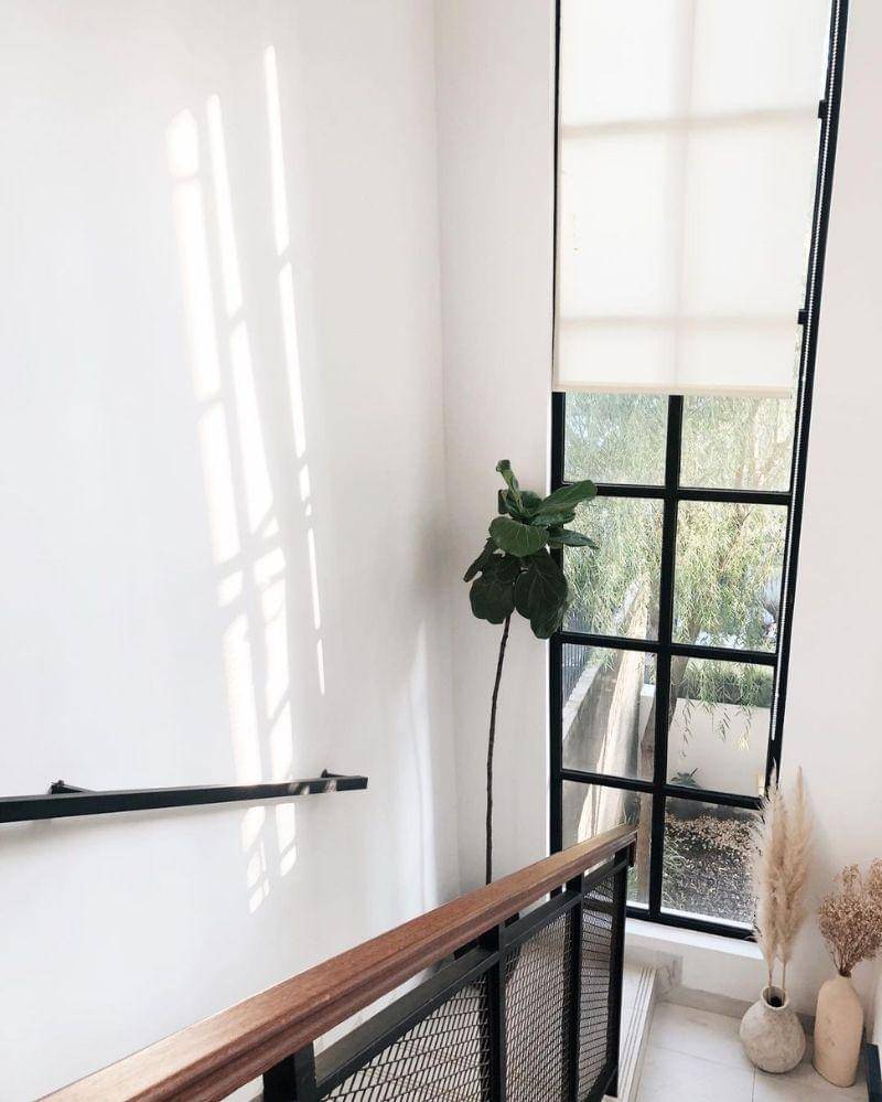 Instagram.com/homuliving