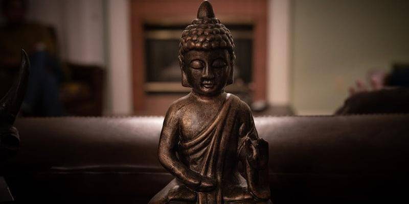 Pexels/Sunilkumar Krishnamoorthy