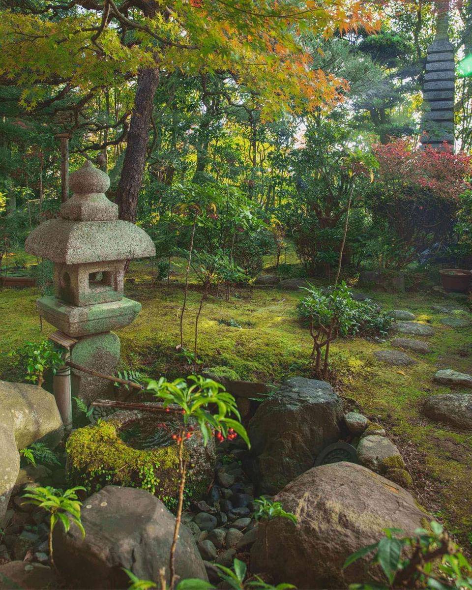 Pexels/Ryutaro Tsukata