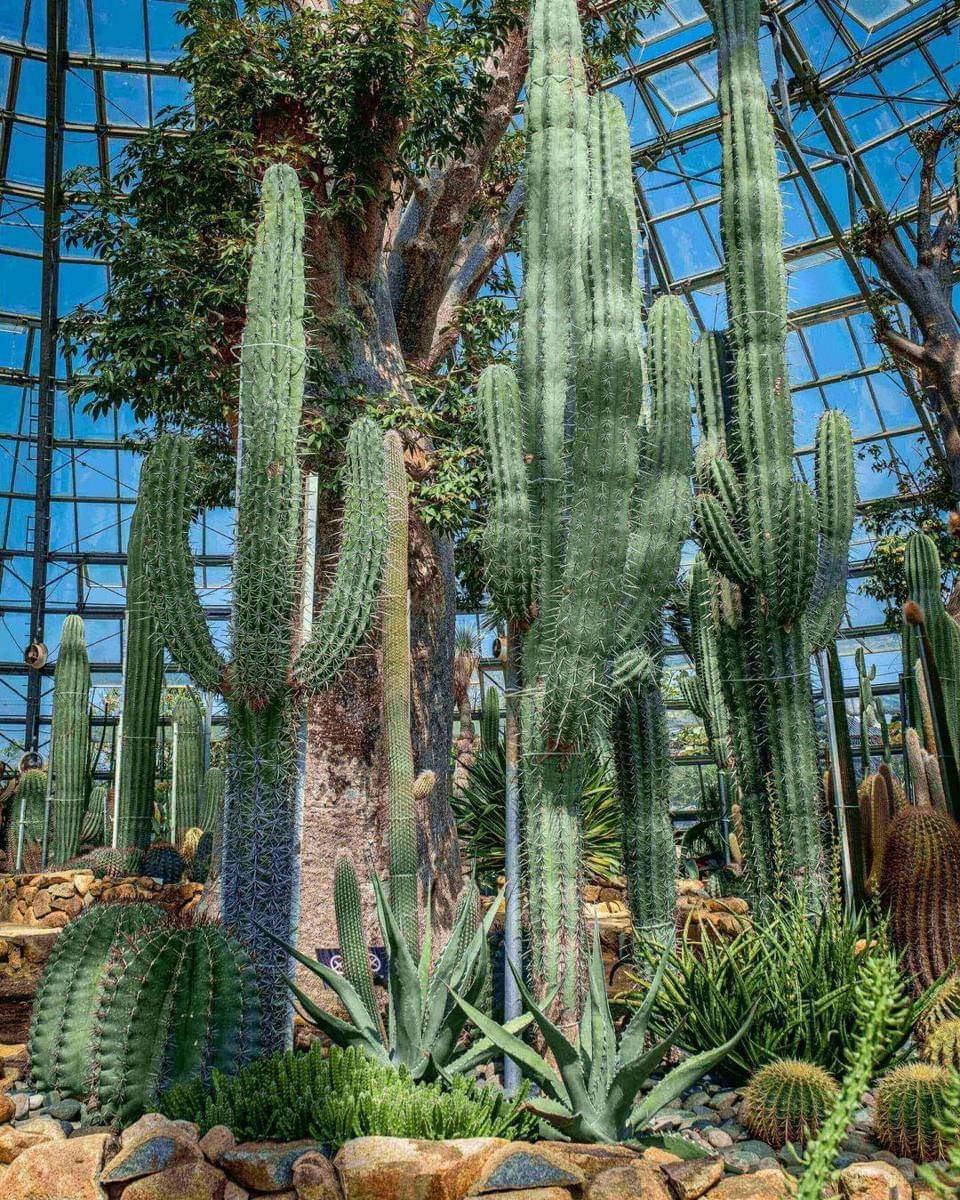 Pexels/Tiểu Bảo Trương