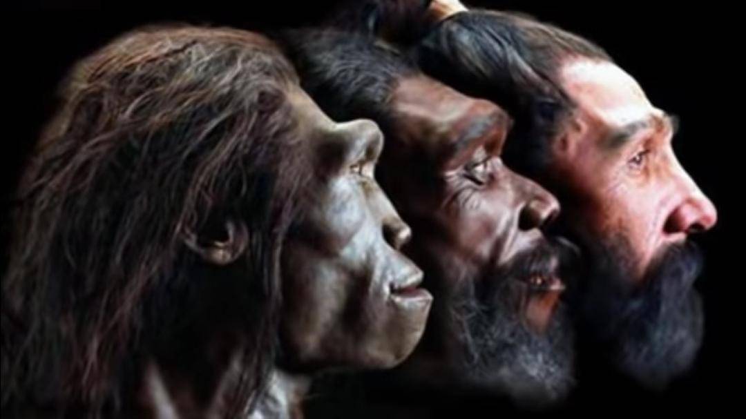 Youtube/Ensiklopedia Sejarah Indonesia