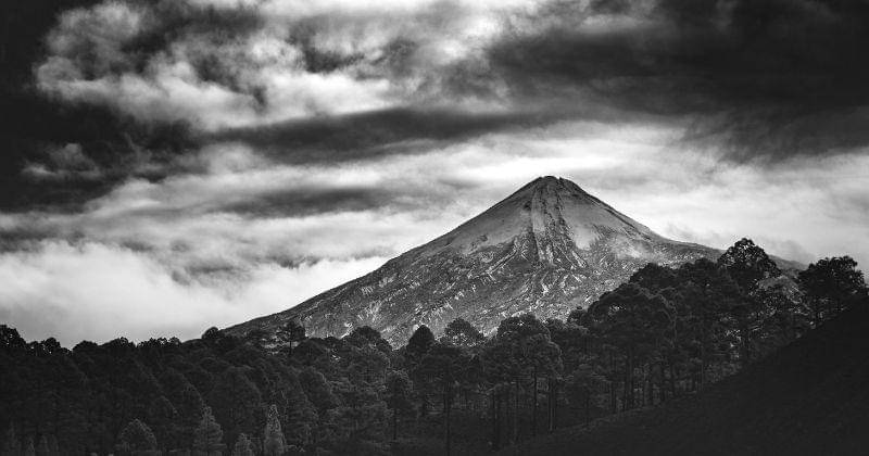 Pexels/Marek-piwnicki-3907296