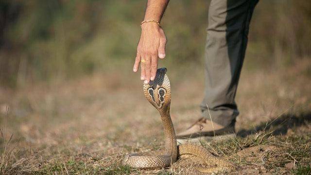 Pexels/anil-sharma-146503211