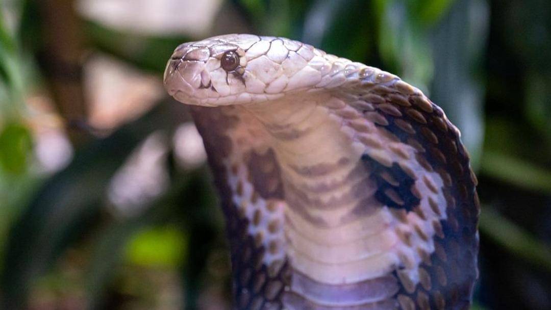 Pixabay/herbert2512-2929941