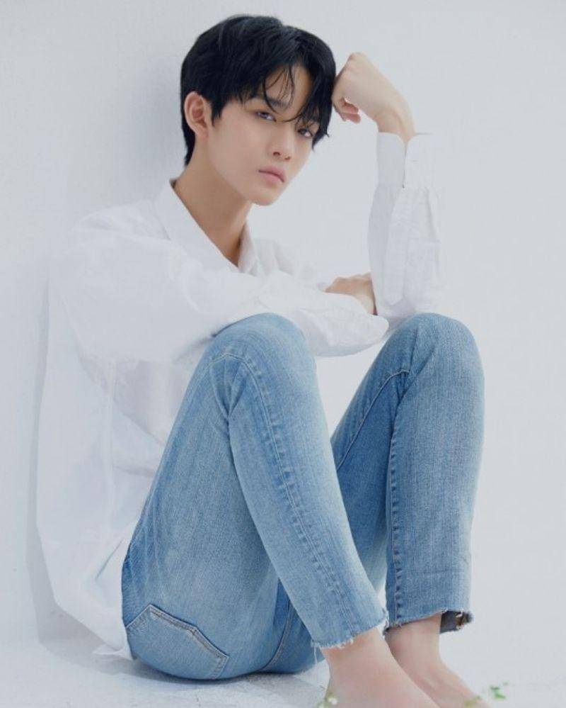 Twitter.com/balloon_wanted