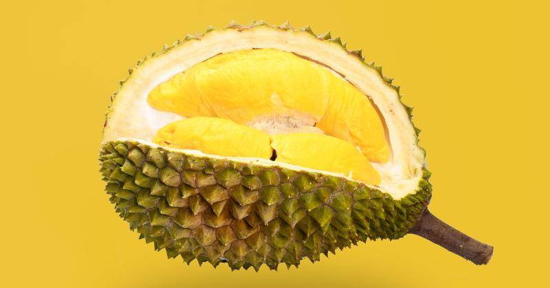 Benarkah Buah Durian Bisa Meningkatkan Kesuburan?