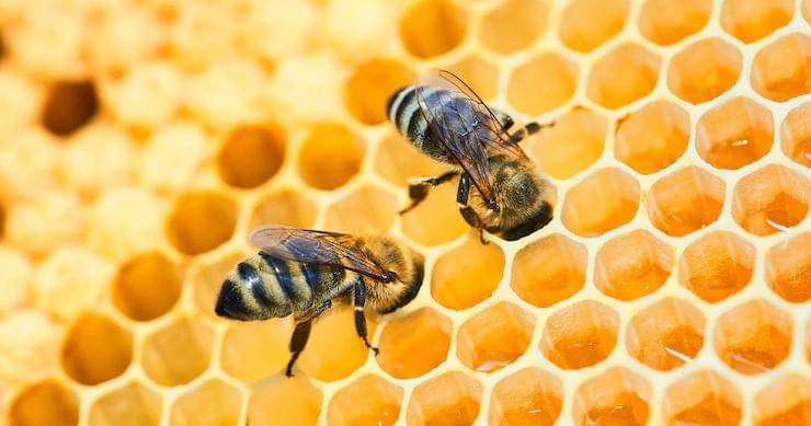 Freepik/aleksrybalko