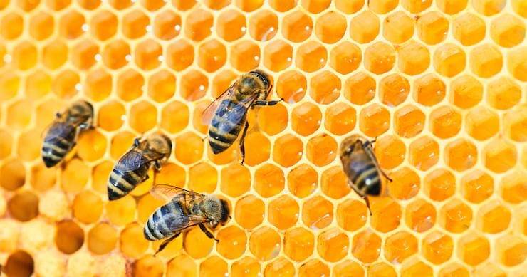 Freepik/aleksrybalko