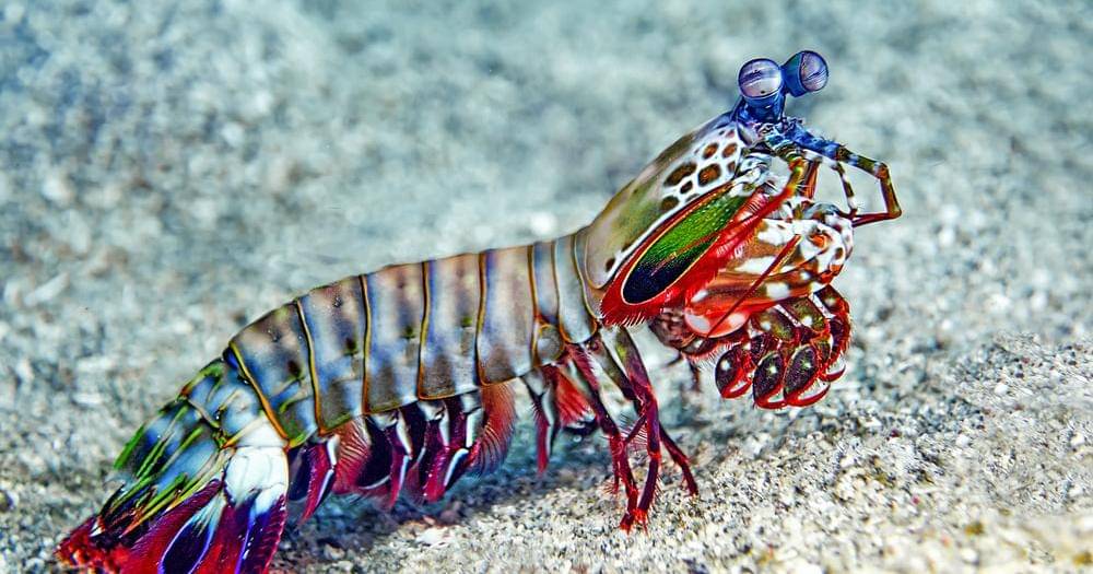 Unsplash/Dorothea OLDANI