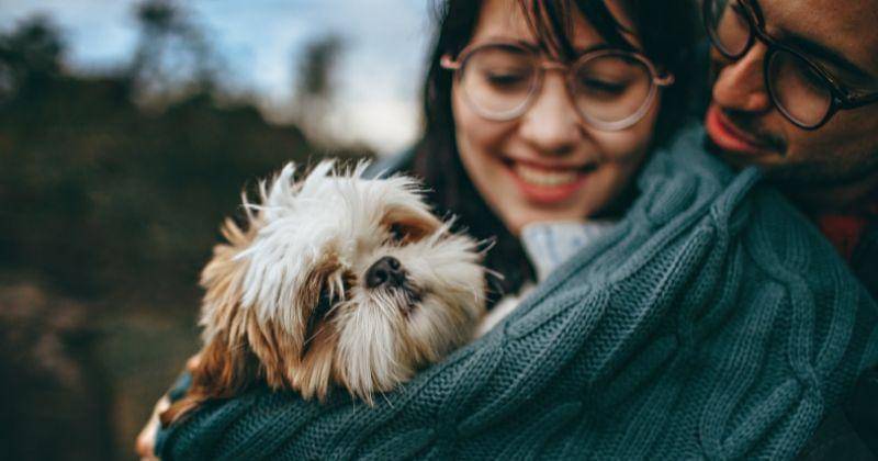 Pexels/Wildlittlethingsphoto/