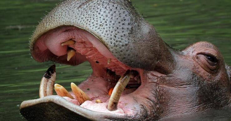 Freepik/kuritafsheen77