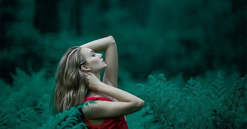 Pexels/Kourosh Qaffari