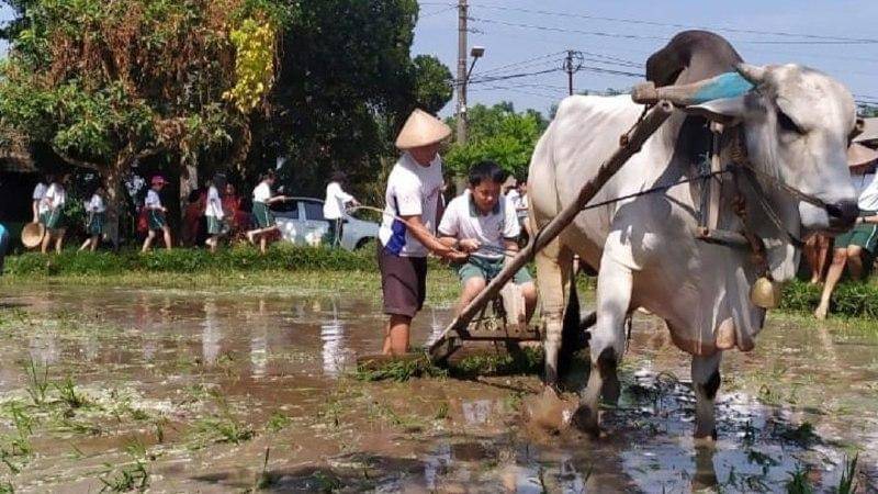 Instagram.com/ desawisatabrayut