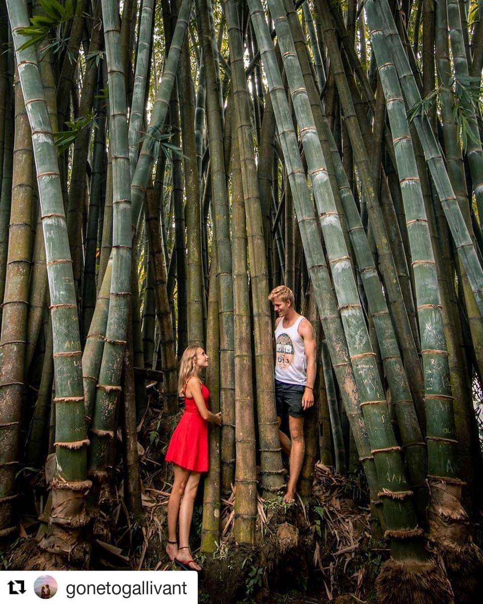 Instagram.com/gonetogallivant