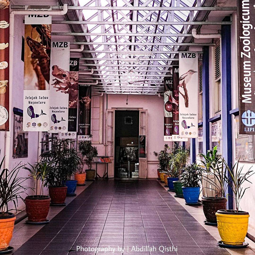 Instagram.com/maqgallery._