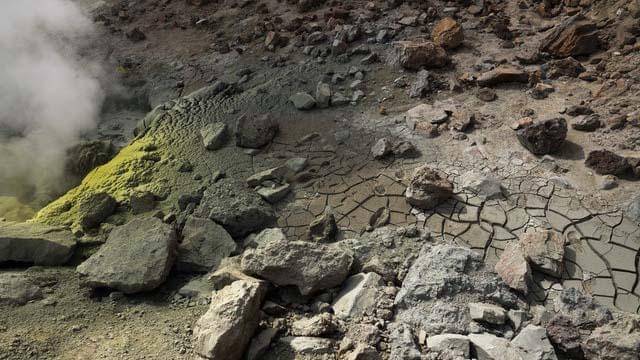 Pexels/arthousestudio