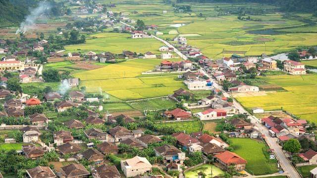 Pexels/quang-nguyen-vinh-222549