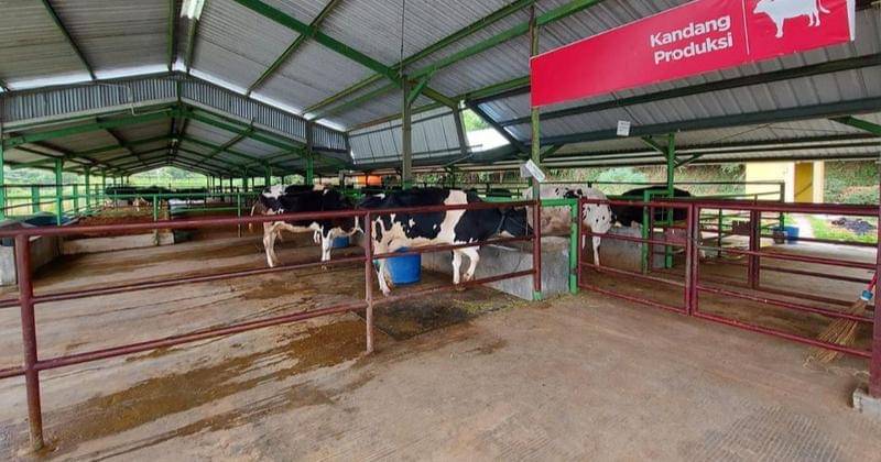 Instagram.com/moosaedufarm