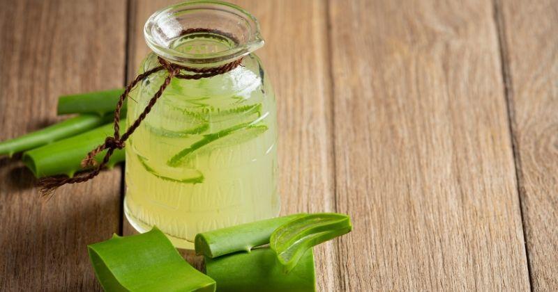 Rendah Kalori & Gula, Ini 6 Manfaat Jus Lidah Buaya untuk Kesehatan