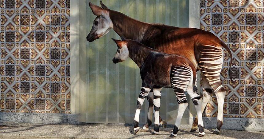 sciencenewsforstudents.org