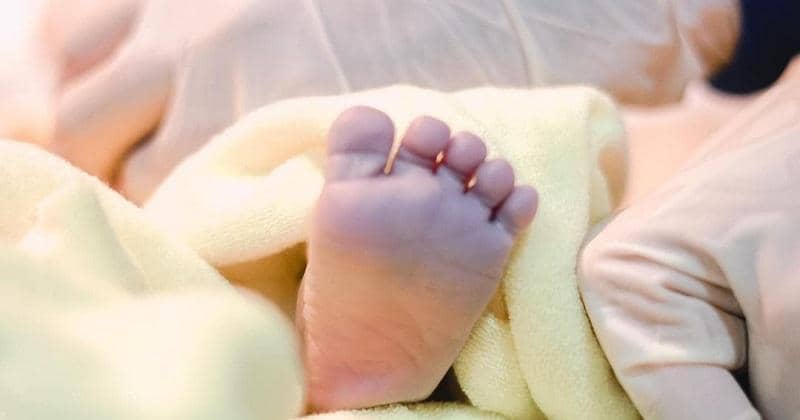 instagram.com/inijedar