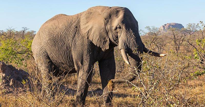 Commons.wikimedia.org