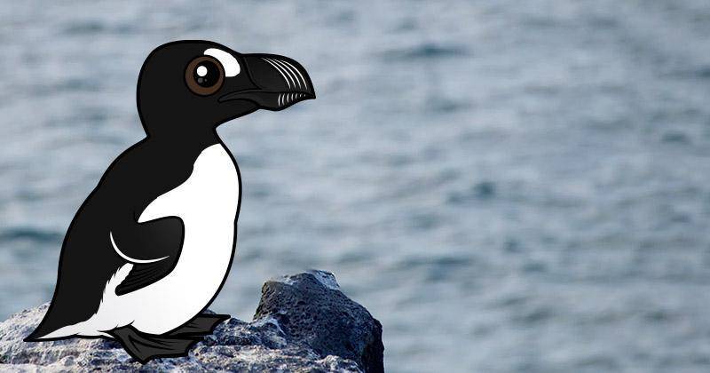 birdorable.com