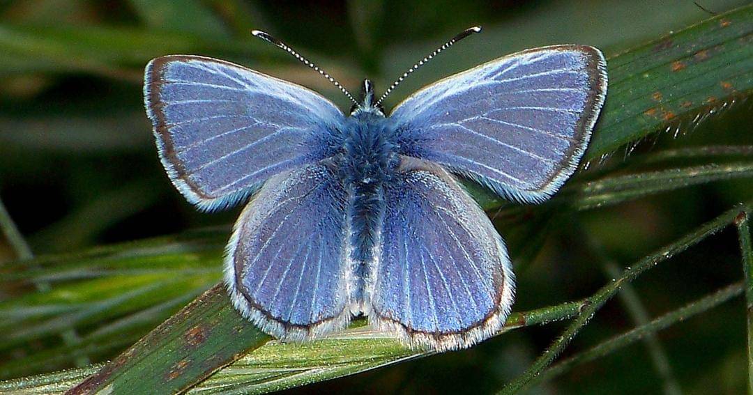 bestofthesouthbay.com