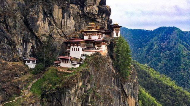 Pexels/peng-lim-6377