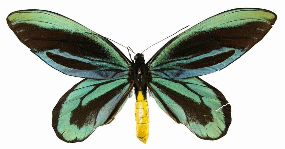 vanderbiltmuseum.org