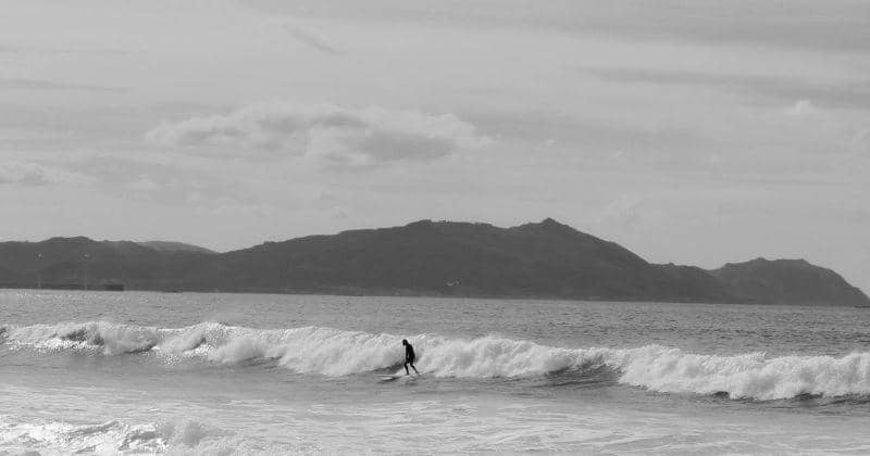 Pexels/Nagore-ugarriza-3406667