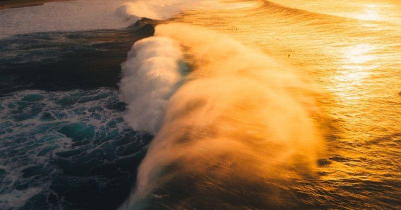 Pexels/Kammeran-gonzalez-keola-3137381