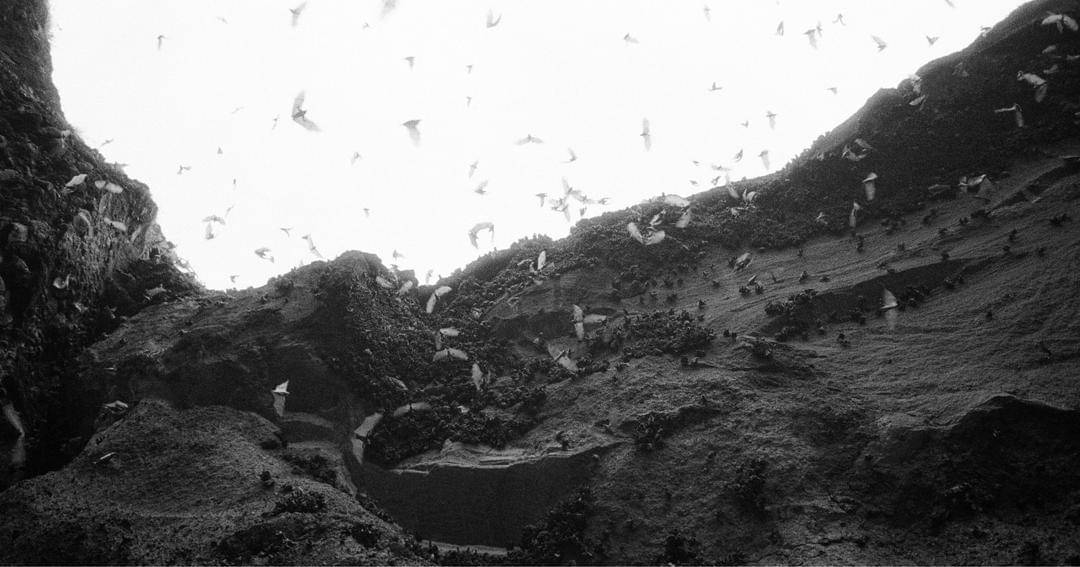 Pexels/Vladimir Konoplev